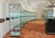 Napoleonská expozice